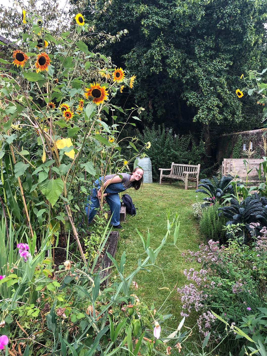 Rhea at the allotments