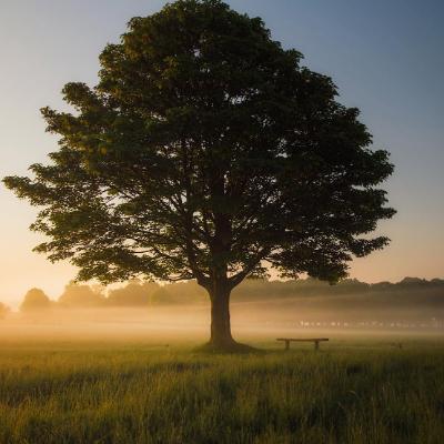 Link to: Winchester Institute for Contemplative Education and Practice
