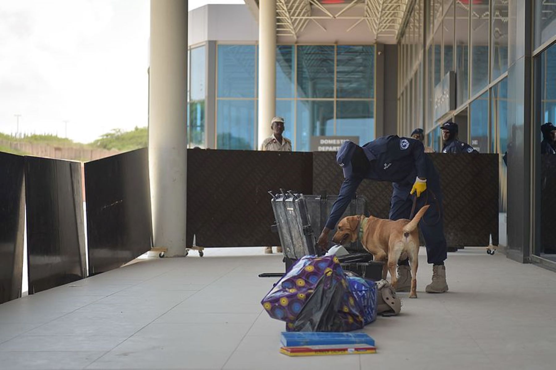 Airport security dog smelling bags