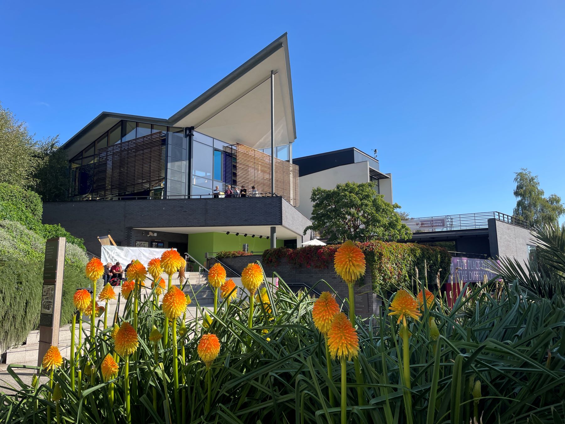 View of modern buildings looking through orange flowers (red hot pokers) in foreground
