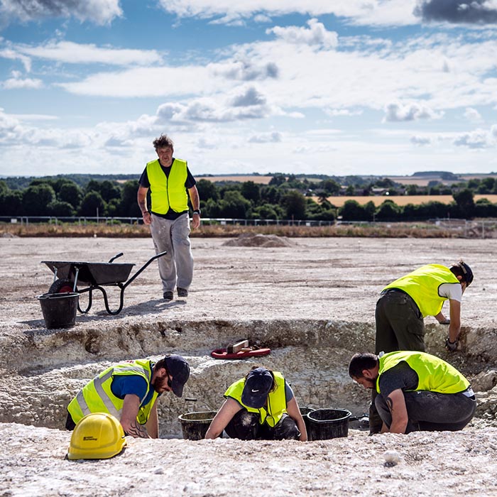 Archaeological dig