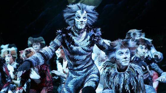 Musical theatre actors perform the musical CATS in costume