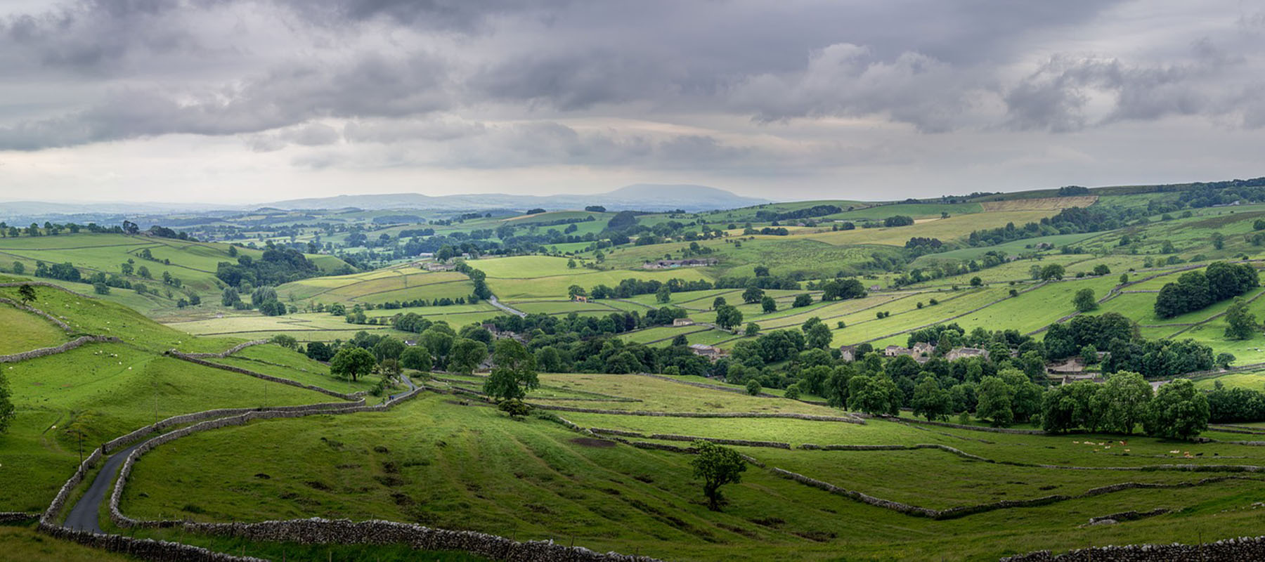 View across green valley with trees and fields