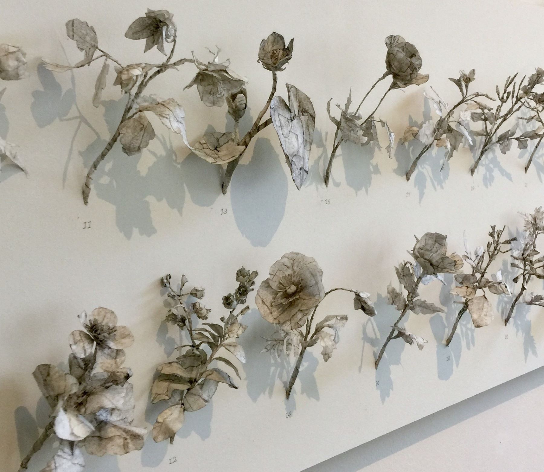 Two lines of small grey flow sculptures on a wall