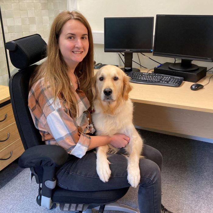 Young woman at office desk with Golden Retriever on her lap
