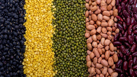 Lentils and nuts laid out in a stripey pattern