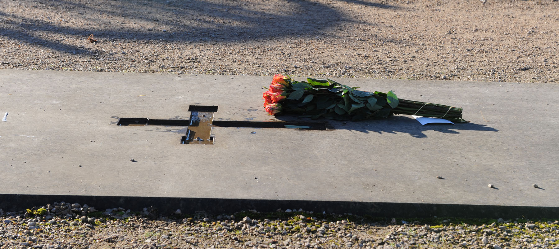 Inscribed ledger stone on the ground on a path