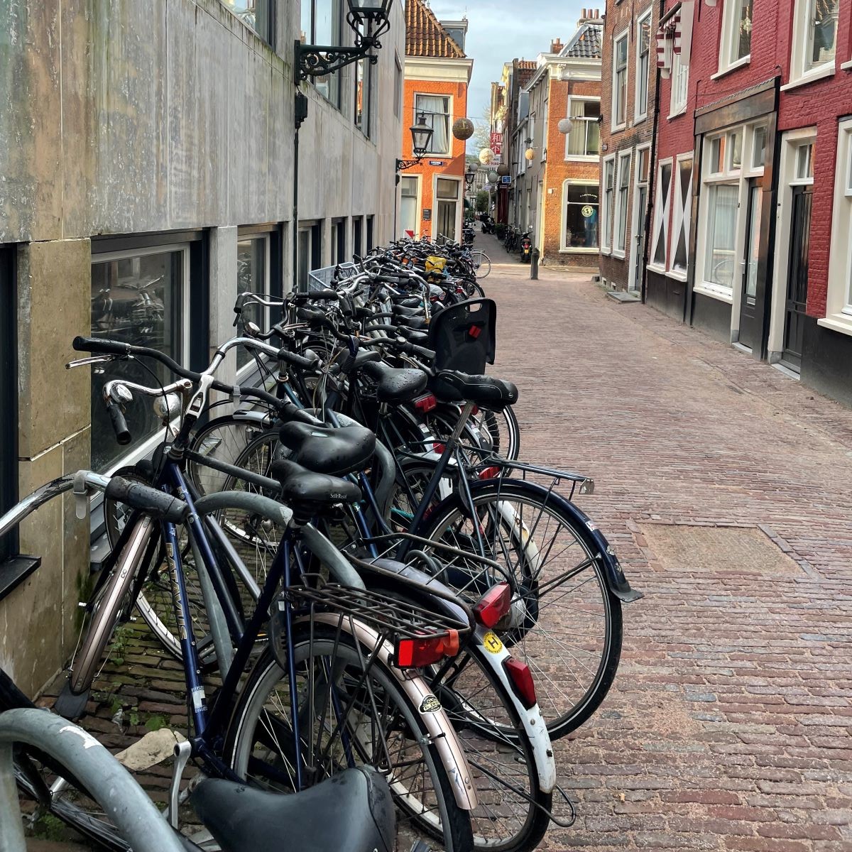 Line of bikes in a Dutch street