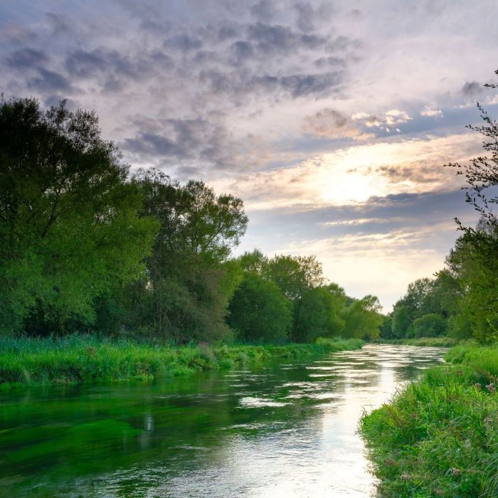 River with trees either side