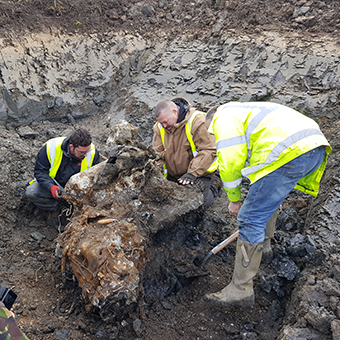 Two male Archaeologists excavating in muddy field around plane debris