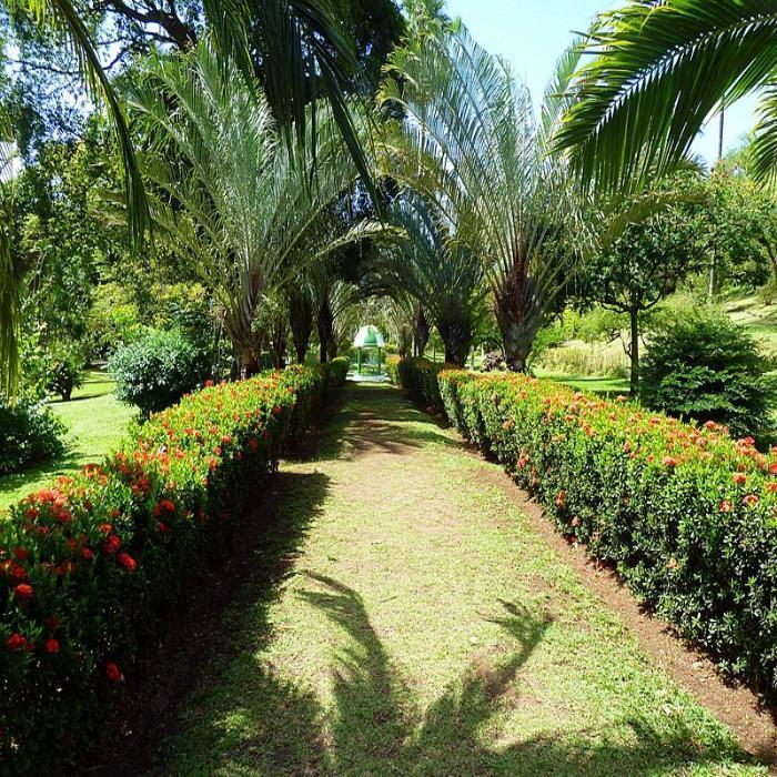 two women stood in a garden talking