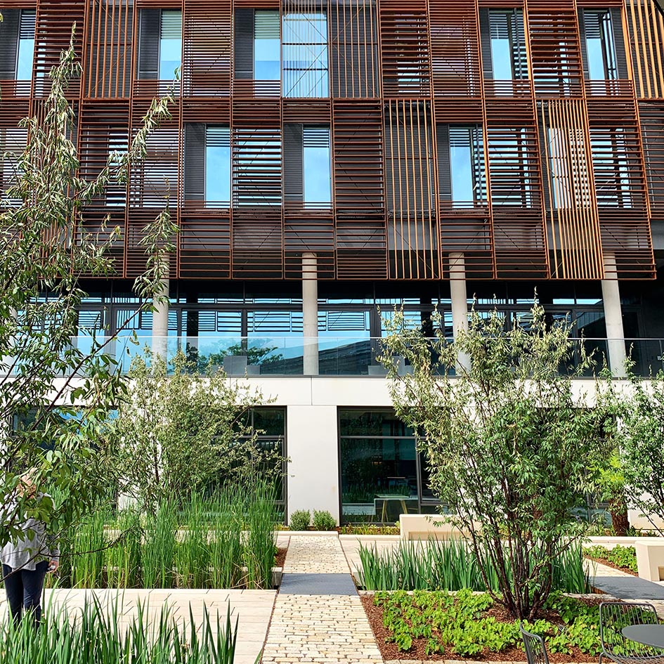 Architect's impression looking out of the building into the courtyard garden with a pond and green trees and planting