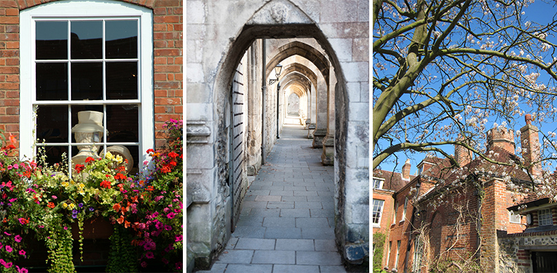 window with stature, cathedral walk way, tree blossom with cathedral