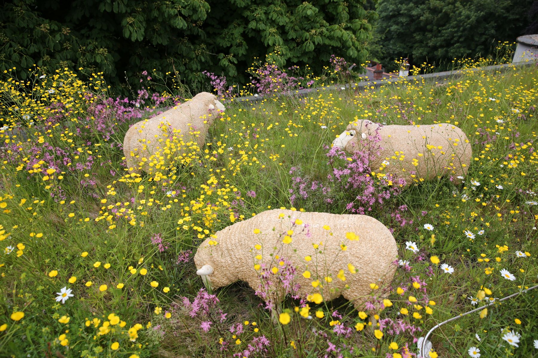 Model sheep on green roof with wildflowers