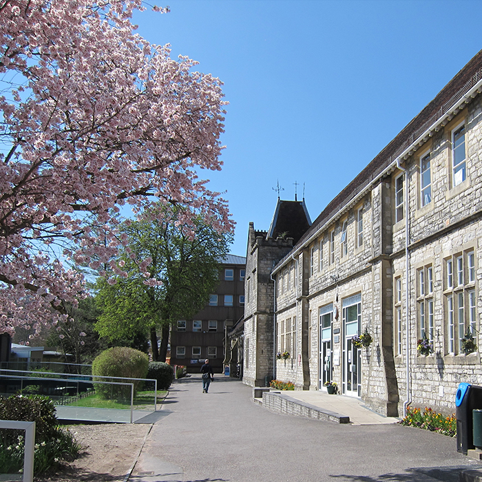 View of Victorian stone building with path running by it and a pink cherry tree in blossom against a blue sky