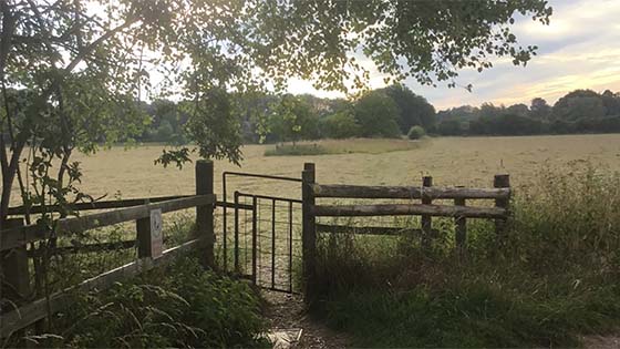 Gate leading to field Kelly Chesterman trains in for Winchester half-marathon