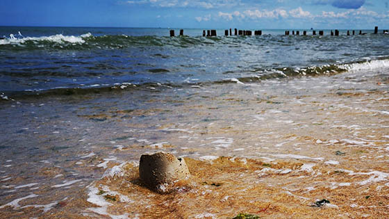 Remembrance Day Gold pot washed up on beach