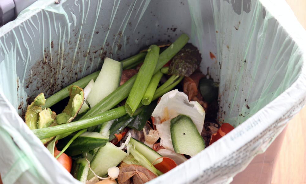 green plastic bin full of food waste