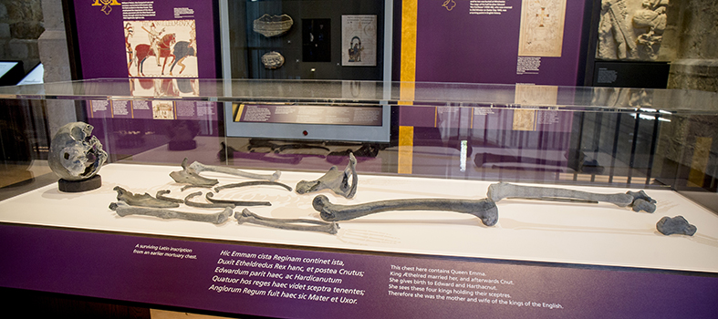 Replica bones of Anglo-Saxon female skeleton displayed in Kings and Scribes exhibition