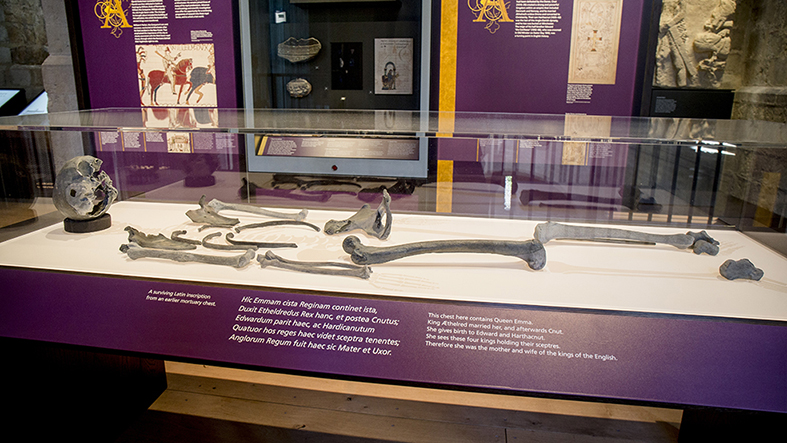 Replica bones of Anglo-Saxon female skeleton displayed in Kings and Scribes exhibition