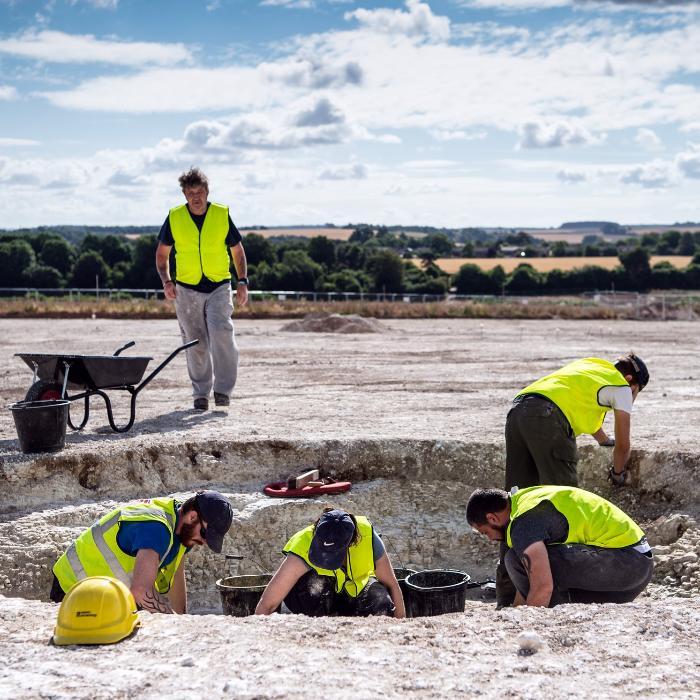 Archaeological dig