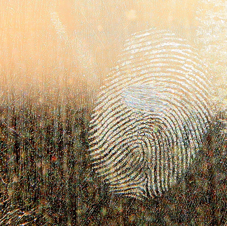Link to: Centre for Forensic and Investigative Psychology