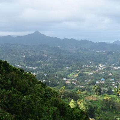 Link to: Caribbean Community Heritage Projects