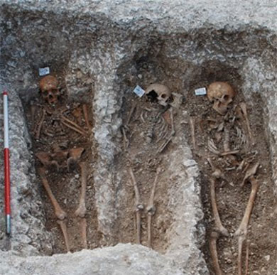 Link to: Magdalen Hill Archaeological Research Project (MHARP)