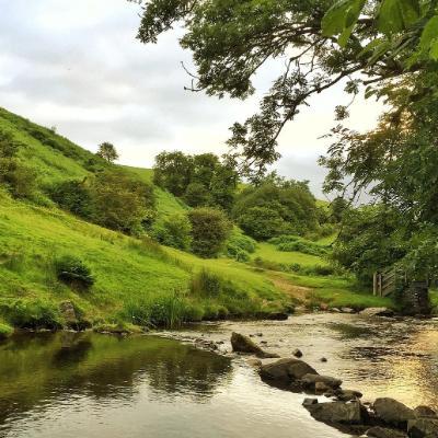 Link to: South Devon Rivers Discovery Project