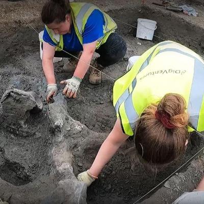 Link to: The mammoth graveyard, the dig that sparked a documentary