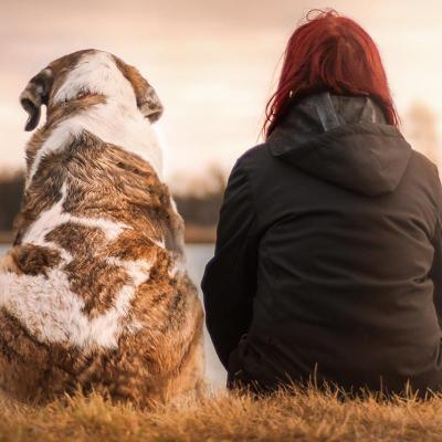 Animal welfare at Winchester: woman and dog sitting side by side