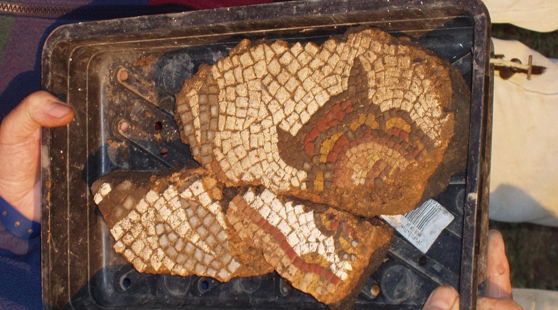 fragment of a Roman mosaic