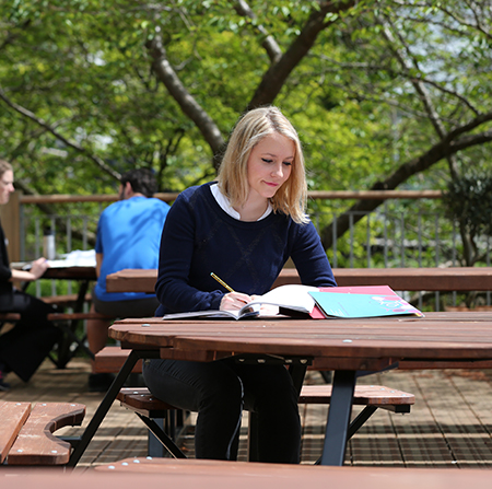 Student studying on a bench outside