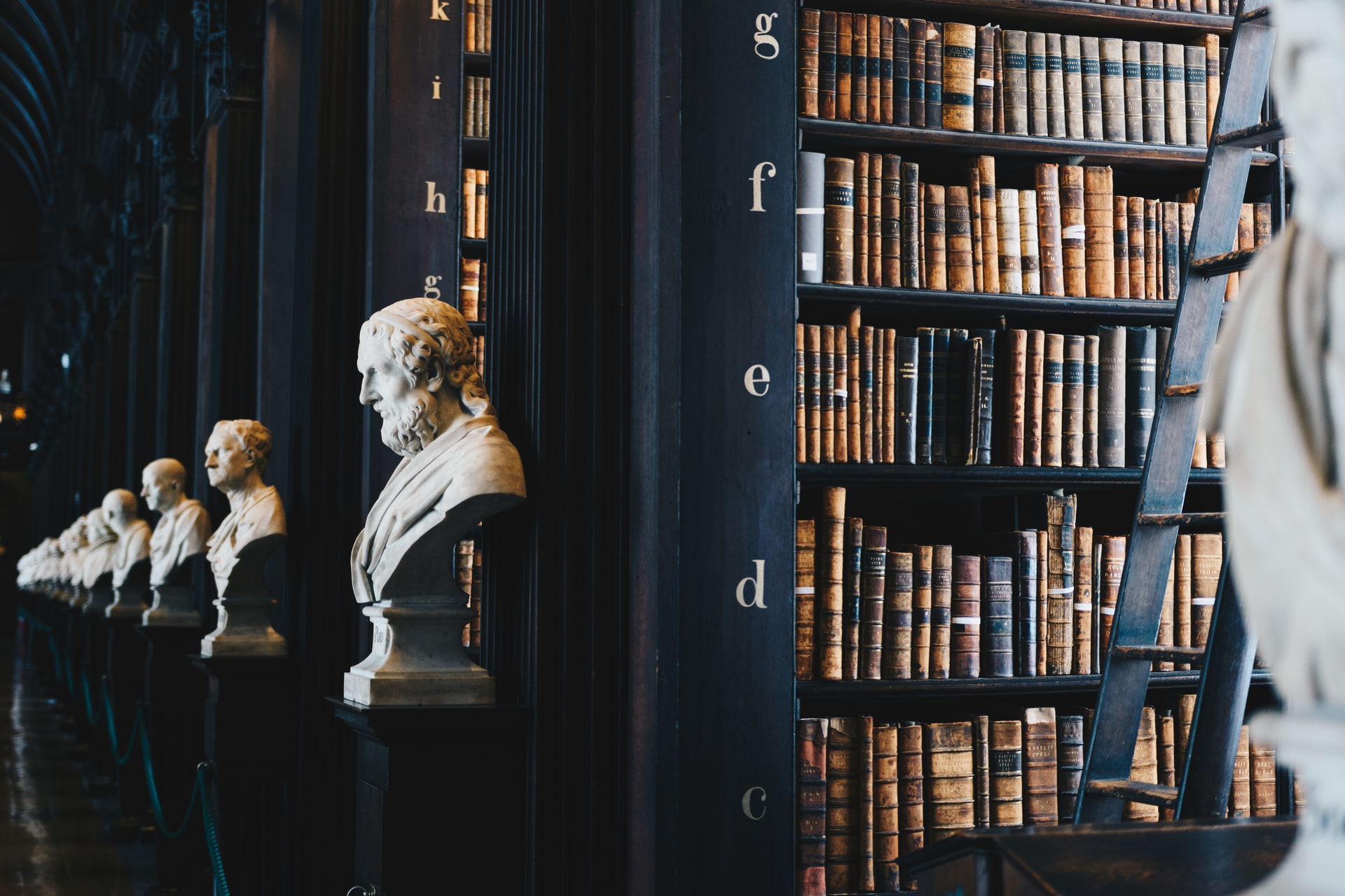 Rows of bookshelves with stone busts at each end