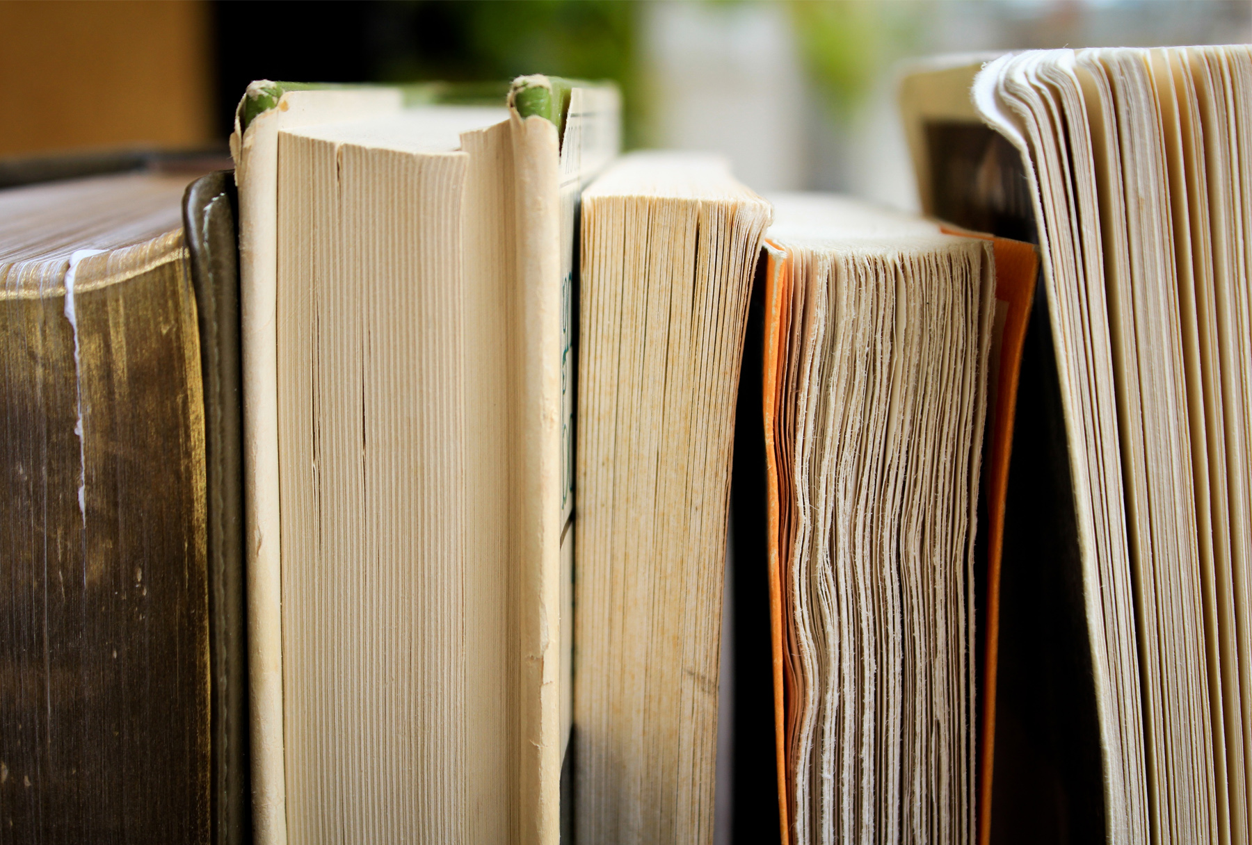 Close up of several books lined up on a shelf