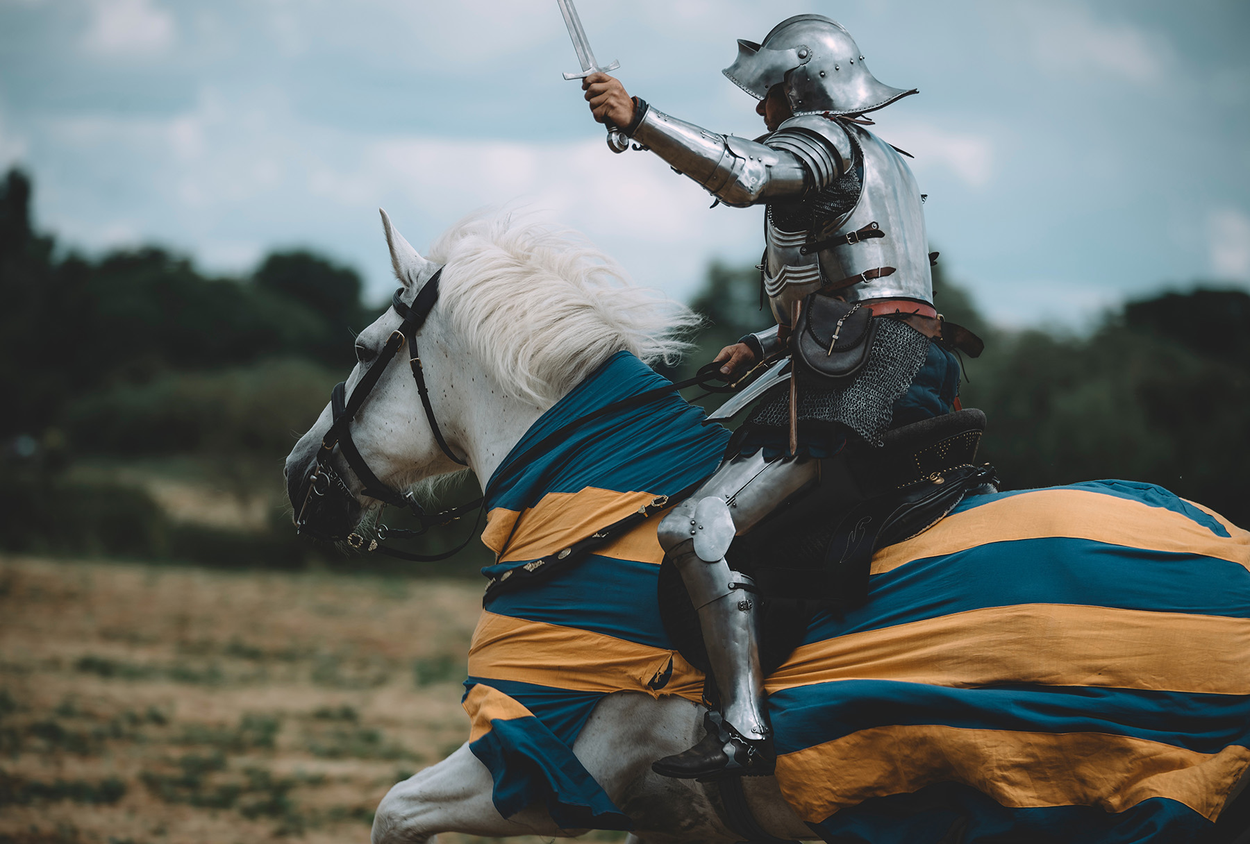 Armoured Knight with sword on a white horse