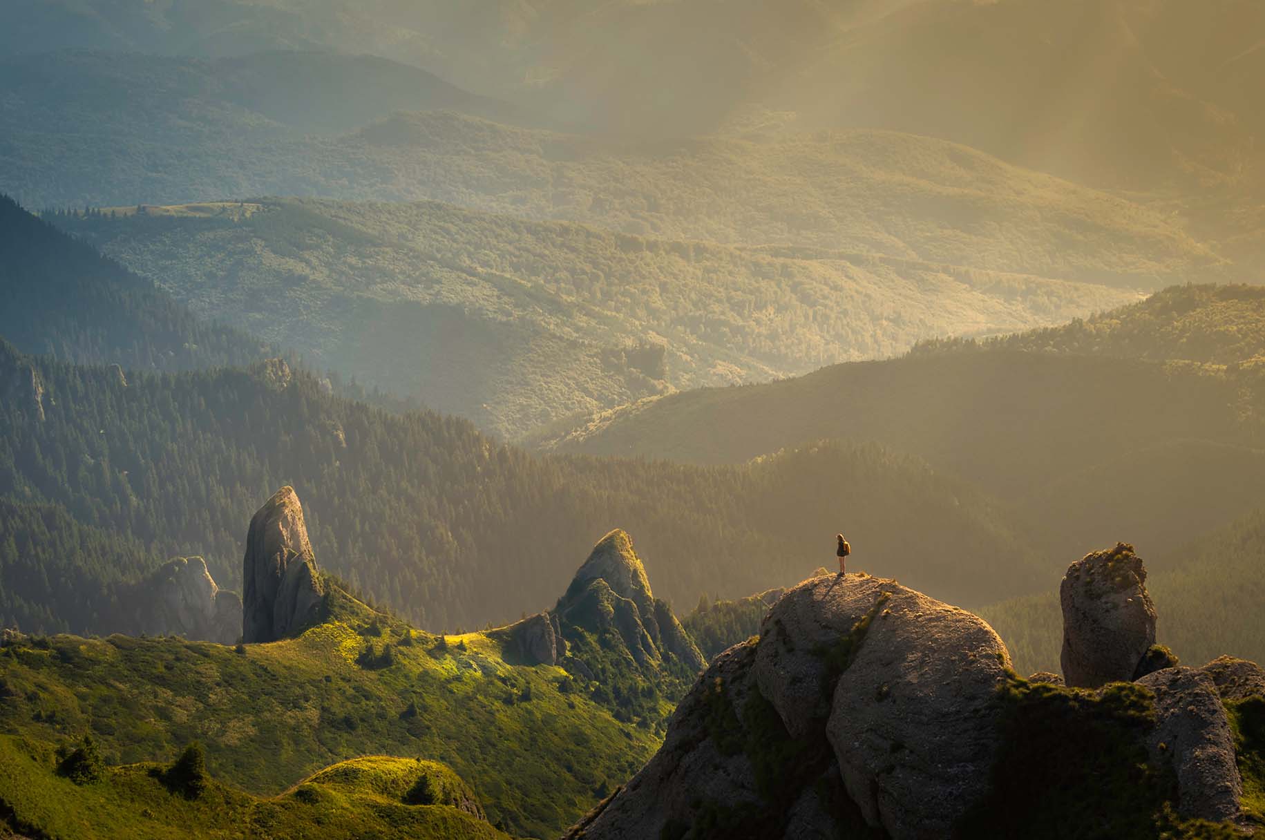 Mountain landscape looking over a forest