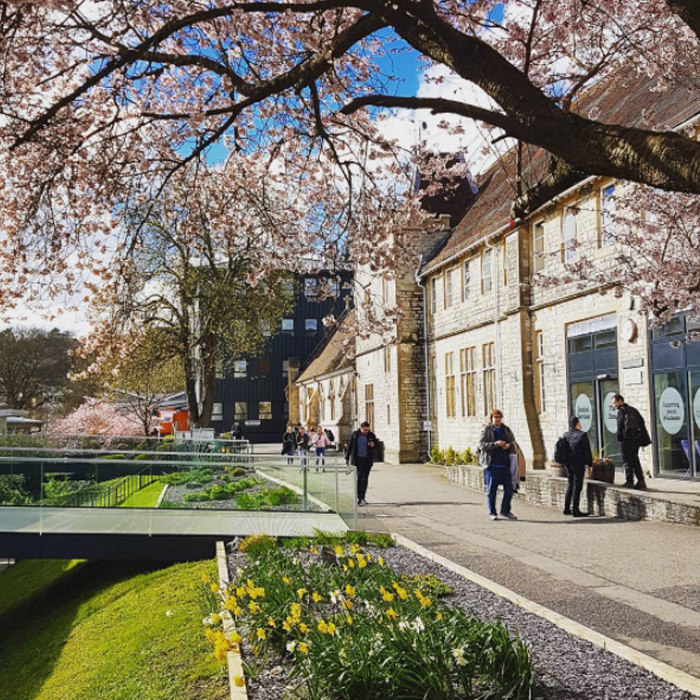 Campus in Spring