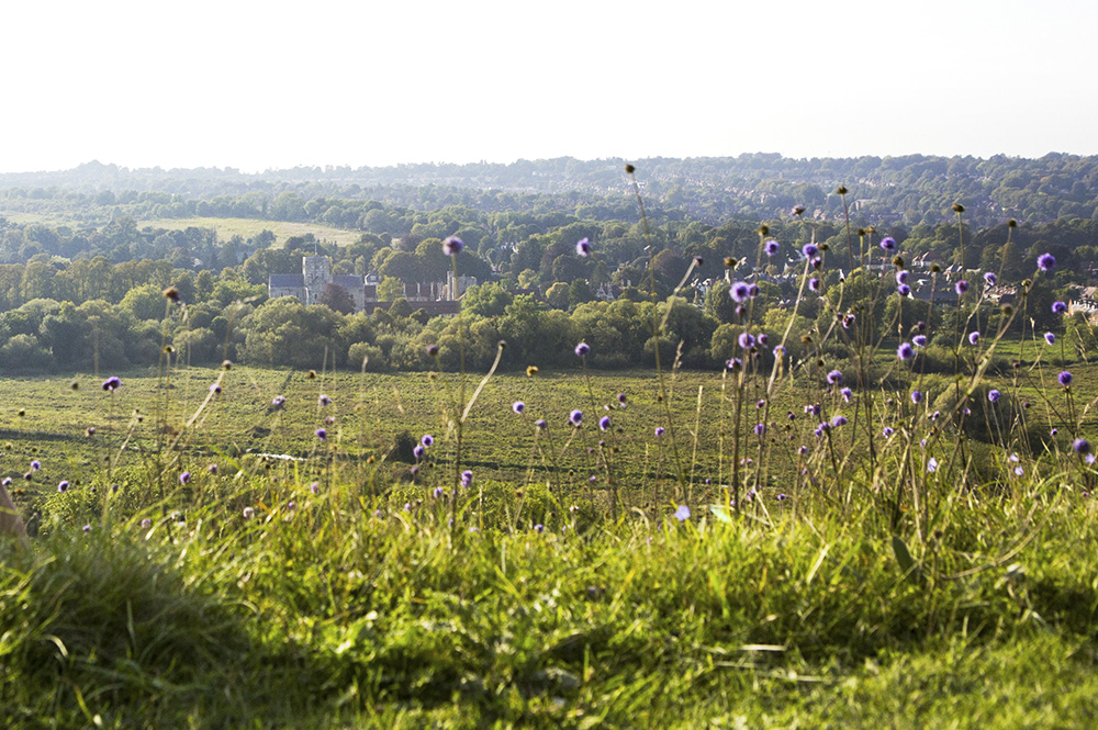 Grass fields on top of a hill with view of a castle in the distance