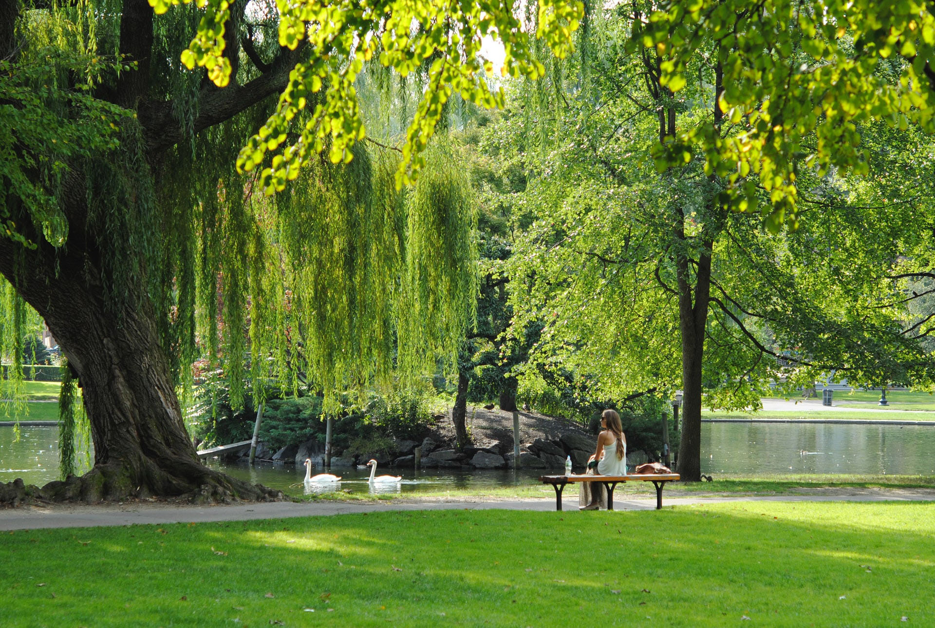 Woman sitting on a bench in a park in summer