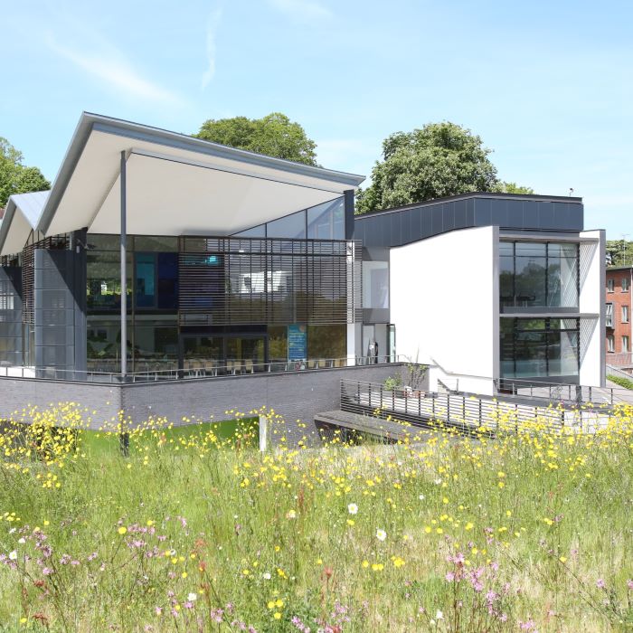 Modern university buildings with wildlfower meadow in foreground