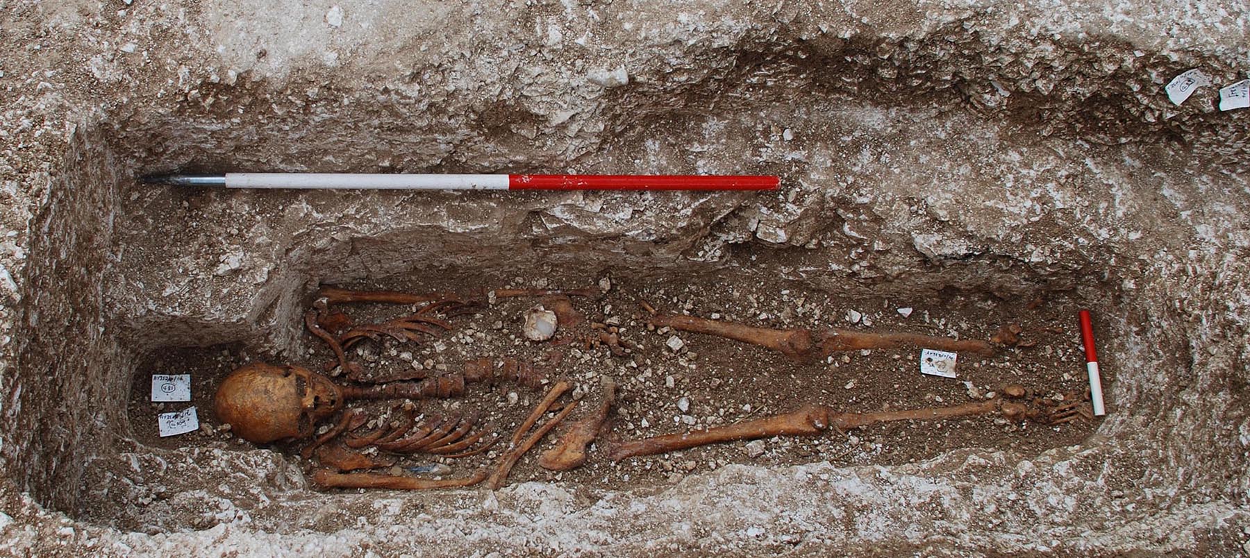 Human skeleton in ancient grave
