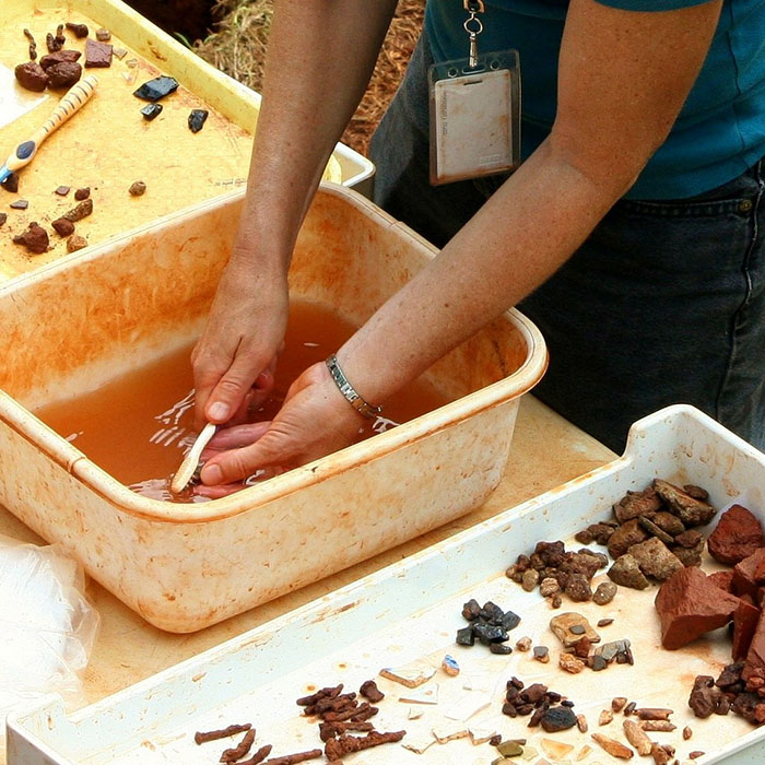 Archaeologist washing artefacts with brush in bowl of water