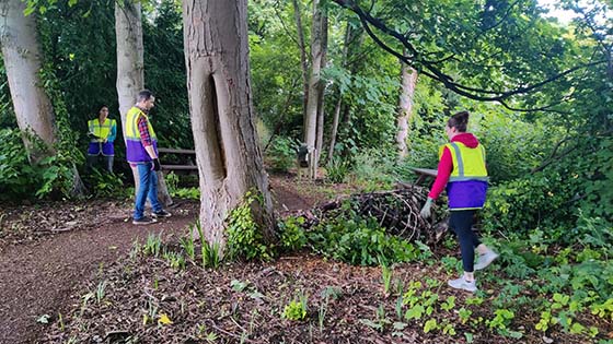 Staff volunteers working in the woodland garden at Osborne School
