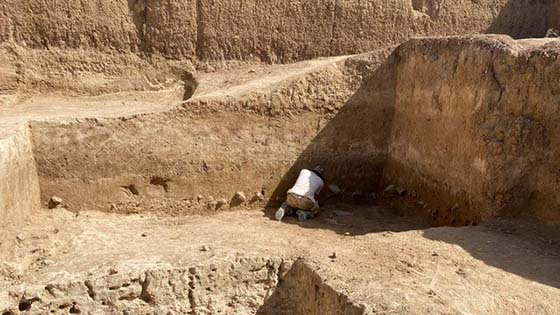 Archaeologist working in trench in the South Caucasus