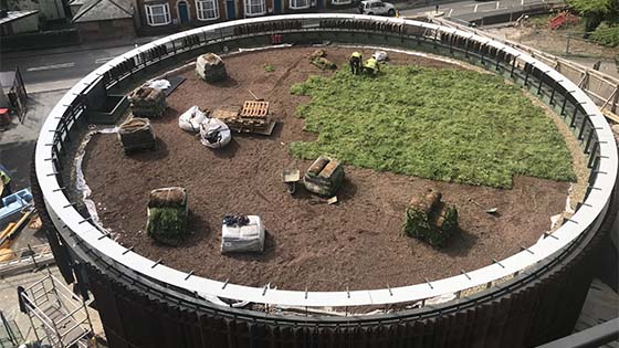 Newly installed green roof at West Downs Centre