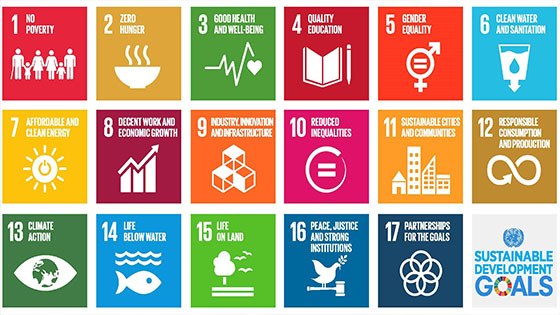 17 European Sustainable Development Goals