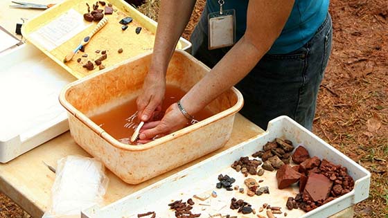 Archaeologist washing artefacts with brush in bowl of water