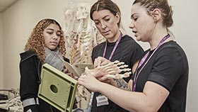 Female student with two lecturers looking at model skeleton hand